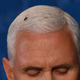 Image for article titled An Exclusive Interview With the Fly Who Crashed the Vice Presidential Debate